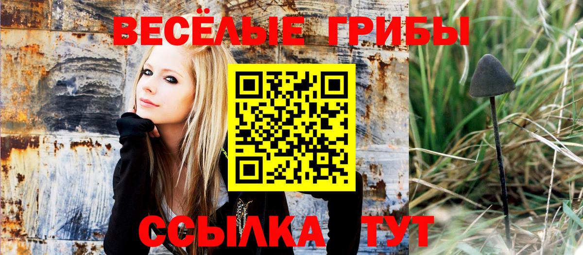 Галлюциногенные грибы прущие грибы Кызыл
