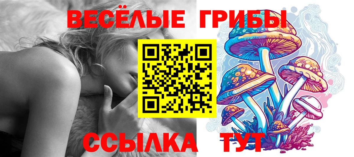 Кызыл  Псилоцибиновые грибы GOLDEN TEACHER  купить закладку  Вход с VPN 
